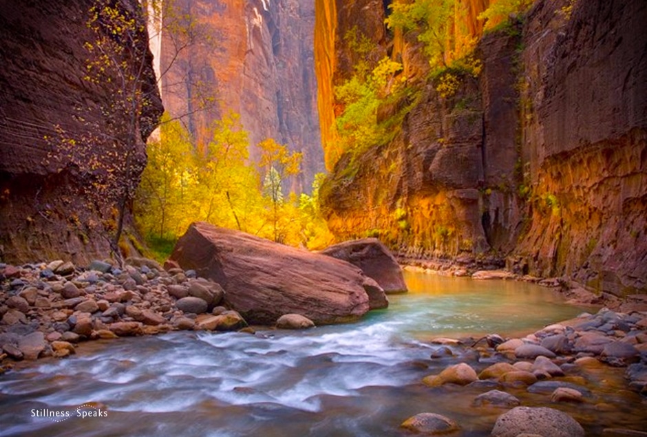 Amazing Paradise Zion's Virgin River Canyon