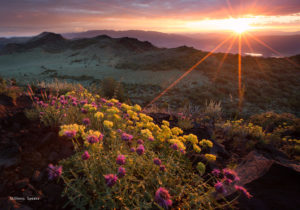John Muir Nevada Sunset