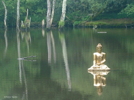 Buddha, water