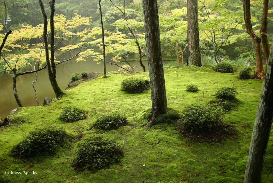 zen moss garden
