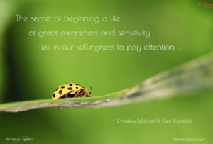 attention, awareness, sensitivity