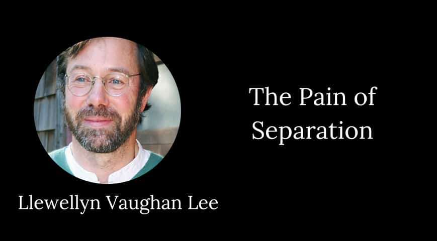 Llewellyn Vaughan-Lee: The Pain of Separation - Stillness Speaks