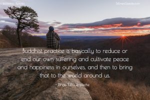purpose, buddhist, practice