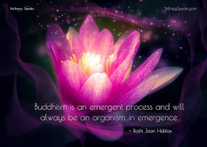 emergence, buddhism