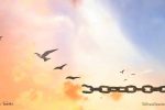 birds flying break chain forgiveness russell