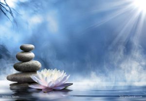 zen stones lotus dharmic renewed spirituality meijer