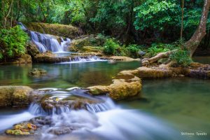 forest waterfall realize water springs upanishad