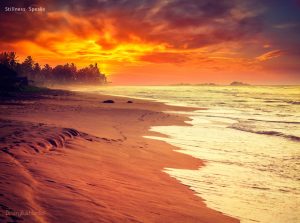 ocean beach sunset living love meister eckhart