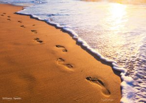 beach footprints zen shukman