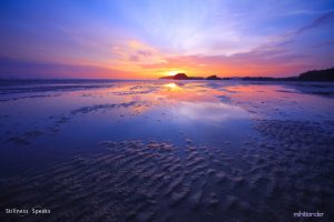 low tide sunset equanimity love thich nhat hanh