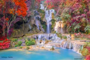waterfall rain forest spiritual practice ellerby