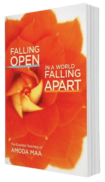 openness falling open amoda maa