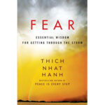 fear thich nhat hanh