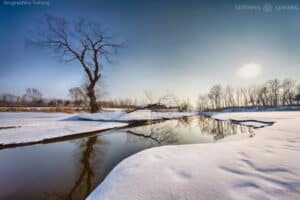 stillness winter landscape taylor