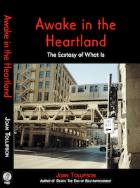 Awake in the Heartland : Ecstasy of What Is by Joan Tollifson