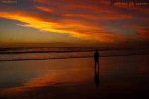 presence sunset beach tollifson