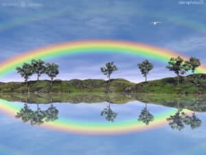 remember we are one rainbow steindl-rast
