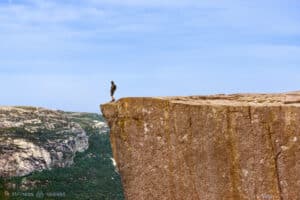 selflessness cliff amidon