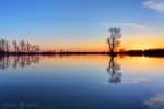 tao lao tzu star Tree and sun on lake sunrise